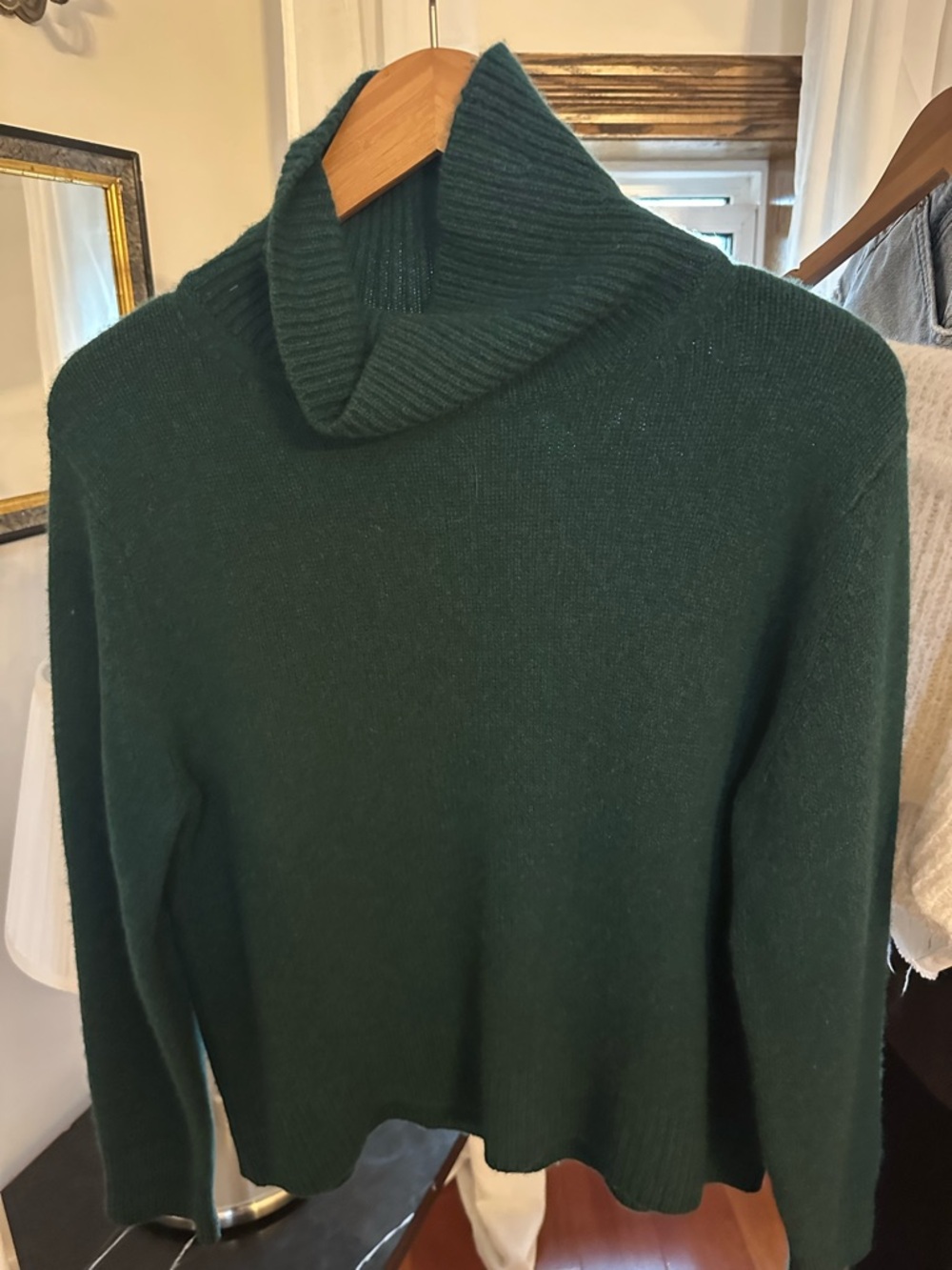 Aritzia Wilfred Cashmere Turtleneck